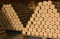 Nhựa tự hủy từ trấu